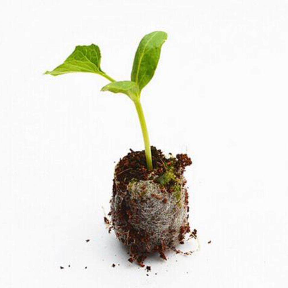 Seed Starter Soil Plugs Plant Fiber Nursery Blocks Peat Soil Pellets V1294-YM0523-190513XA09-1