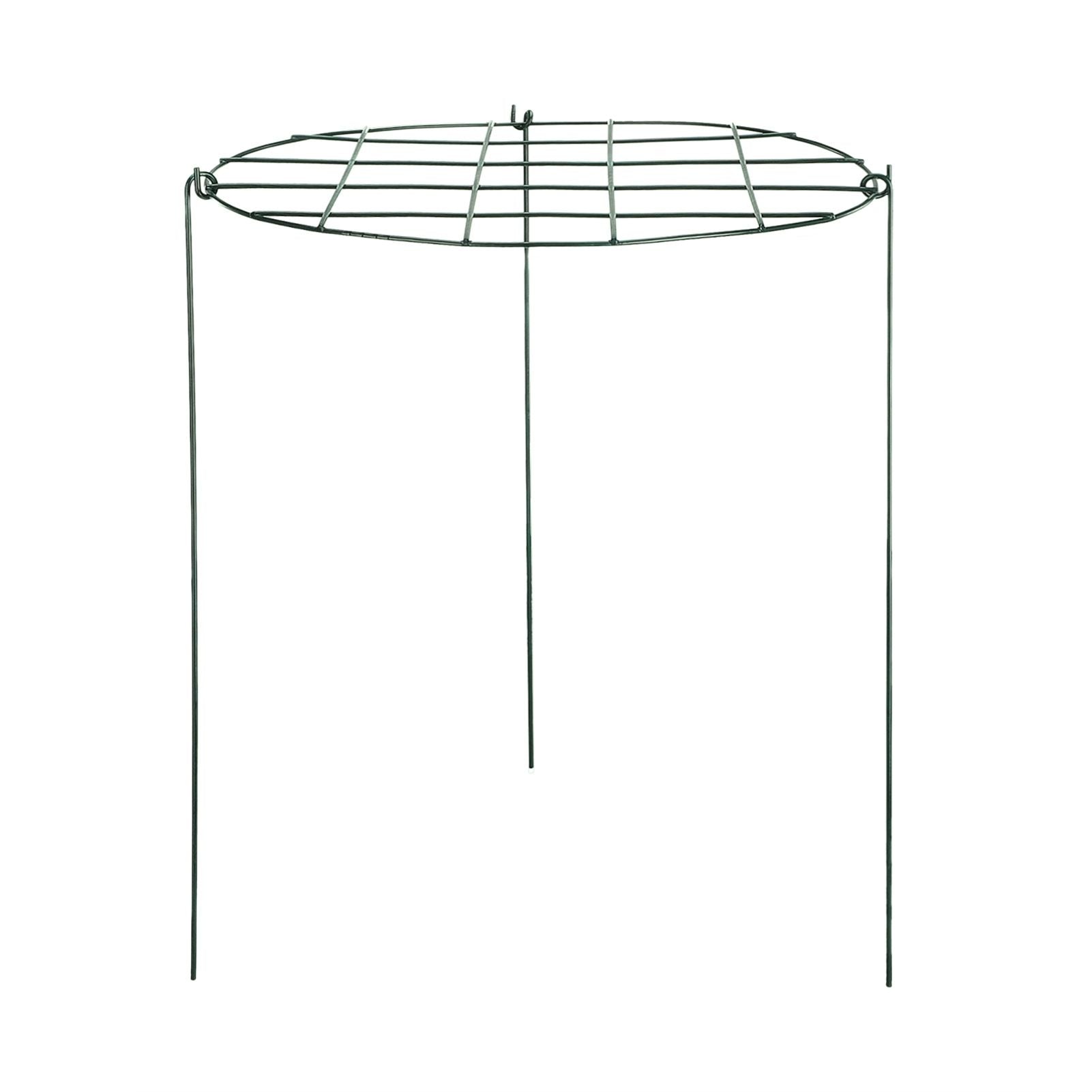 Garden Grid Shaped Iron Metal Plant Stand Strawberry Stand Plant Support Stake V1294-YM0523-211007QY01
