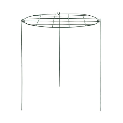 Garden Grid Shaped Iron Metal Plant Stand Strawberry Stand Plant Support Stake V1294-YM0523-211007QY01