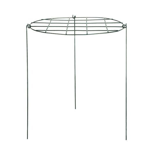 Garden Grid Shaped Iron Metal Plant Stand Strawberry Stand Plant Support Stake V1294-YM0523-211007QY01
