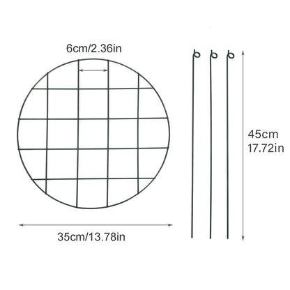Garden Grid Shaped Iron Metal Plant Stand Strawberry Stand Plant Support Stake V1294-YM0523-211007QY01
