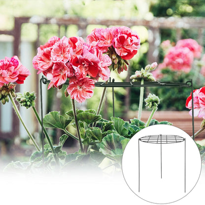 Garden Grid Shaped Iron Metal Plant Stand Strawberry Stand Plant Support Stake V1294-YM0523-211007QY01
