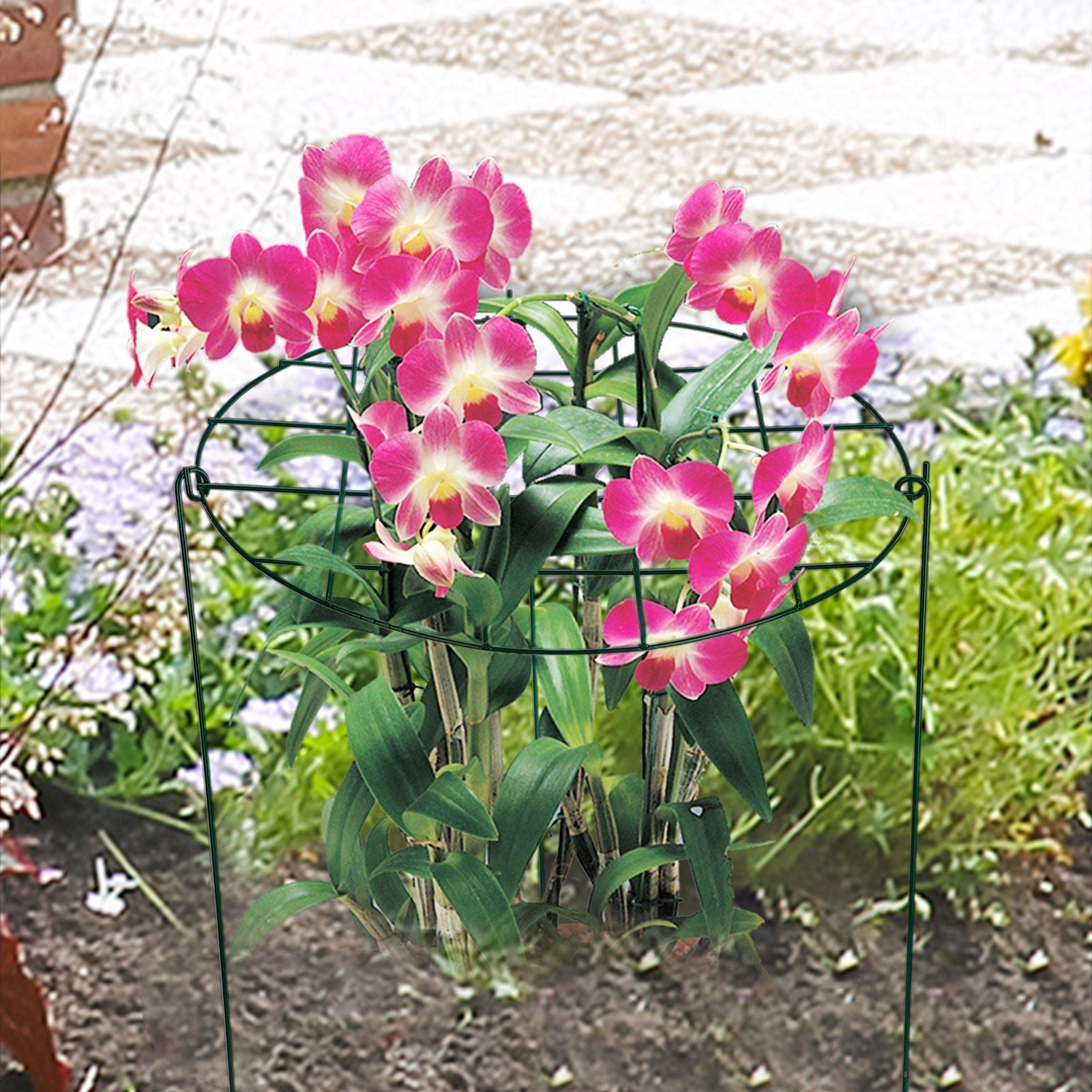 Garden Grid Shaped Iron Metal Plant Stand Strawberry Stand Plant Support Stake V1294-YM0523-211007QY01
