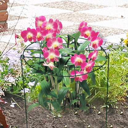 Garden Grid Shaped Iron Metal Plant Stand Strawberry Stand Plant Support Stake V1294-YM0523-211007QY01
