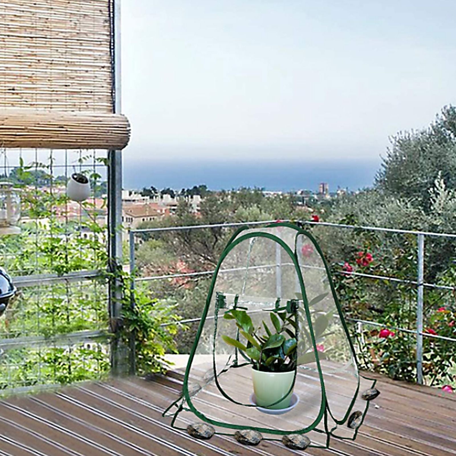 Foldable Portable Mini Home Garden Greenhouse Succulent Flower Warm Cover Windproof Rainproof Greenhouse V1294-YM0523-211018XY02
