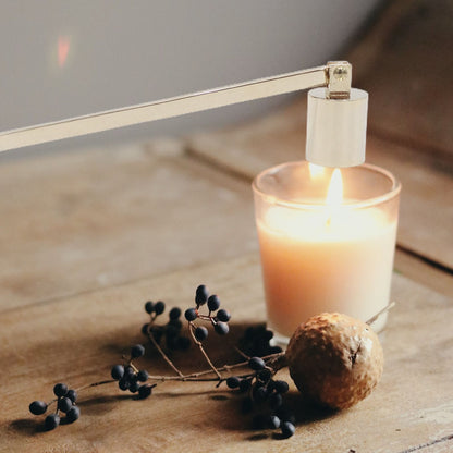 Candle Wick Snuffer Stainless Steel Wick Flame Snuffer Vintage Extinguisher with Long Handle V1294-YM0523-211020XU02-3