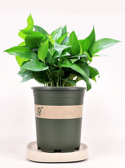 Mobile Flower Pot Tray Durable Wheels Plant Tray Planter Tray with Wheels V1294-YM0523-220108SH01-4
