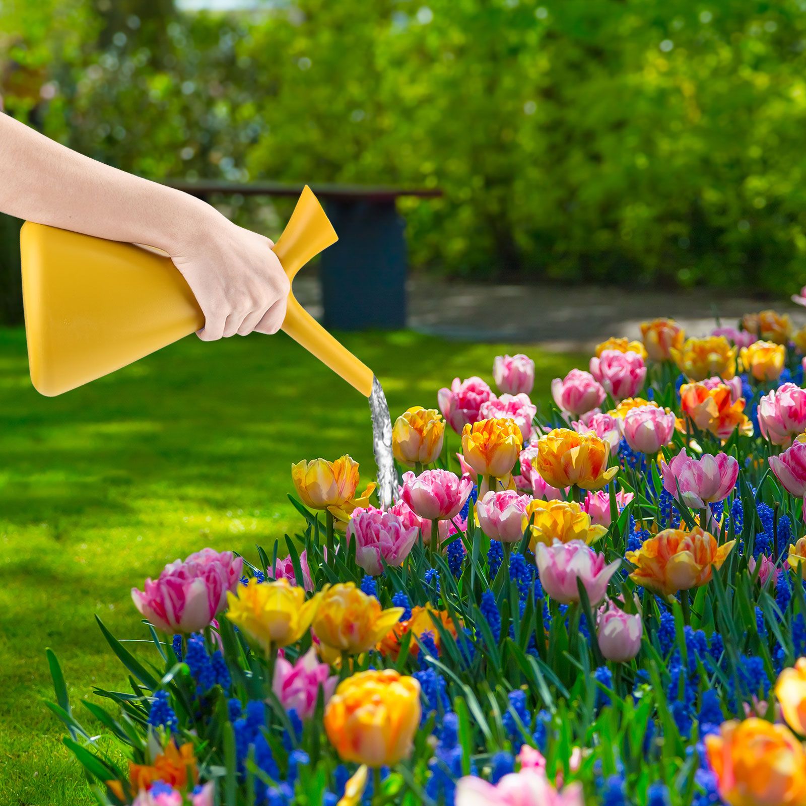 1.5L Creative V Shaped Watering Cans Home Gardening Watering Sprinkler Spray Cans V1294-YM0523-220111XY02-2