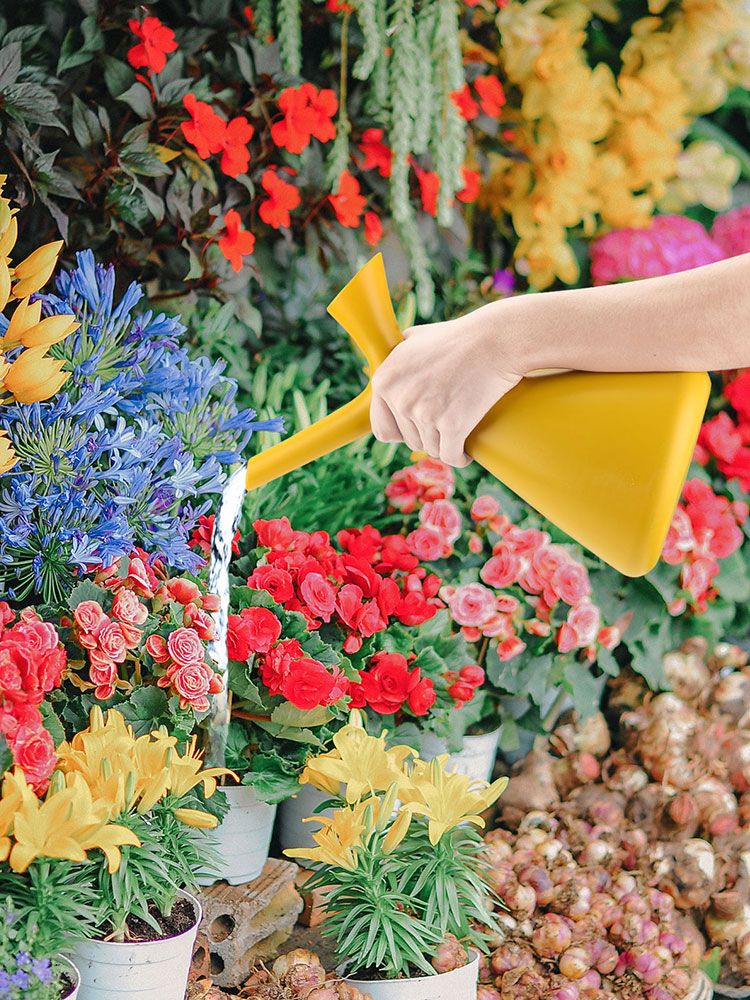 1.5L Creative V Shaped Watering Cans Home Gardening Watering Sprinkler Spray Cans V1294-YM0523-220111XY02-2