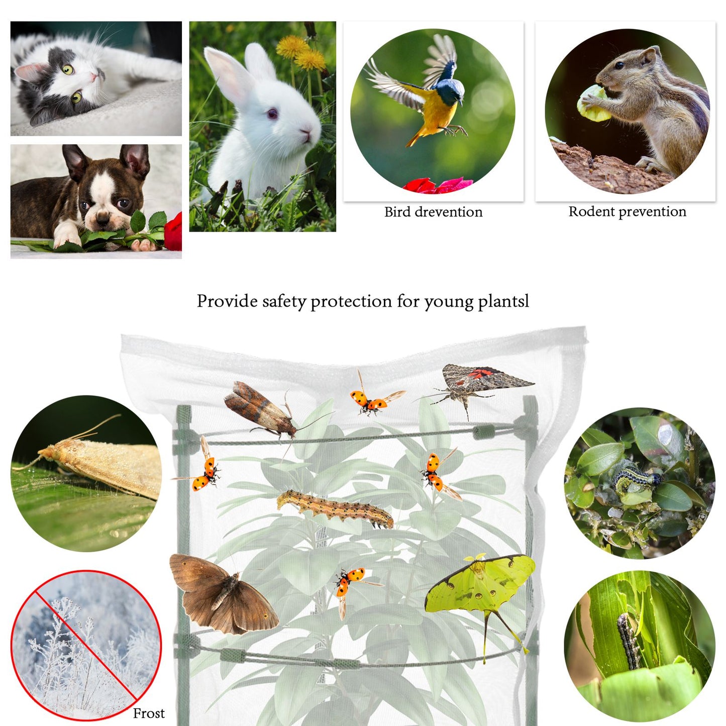 Garden Plastic Multifunctional Plant Covers Protectors Transparent Jar Prevent Birds Frost V1294-YM0523-220222DJ01