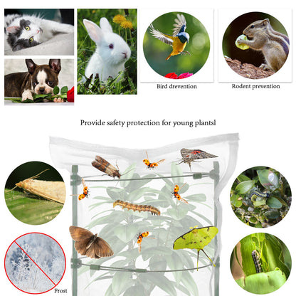 Garden Plastic Multifunctional Plant Covers Protectors Transparent Jar Prevent Birds Frost V1294-YM0523-220222DJ01