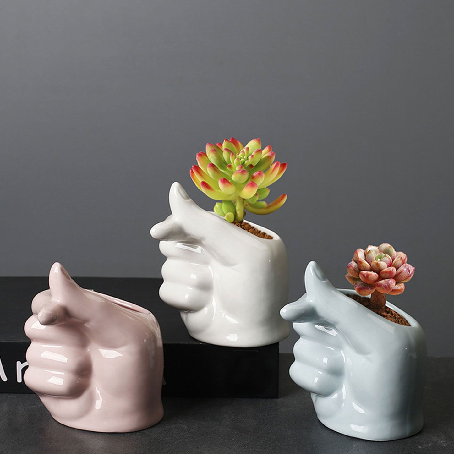 Gardening Succulent Pot Ceramic Indoor Tabletop Plant Pot Home Decoration V1294-YM0523-220310XY01-1