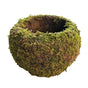 Japanese Style Moss Ball Gardening Potted Plant Moss Flower Pot V1294-YM0523-220316YA02-2