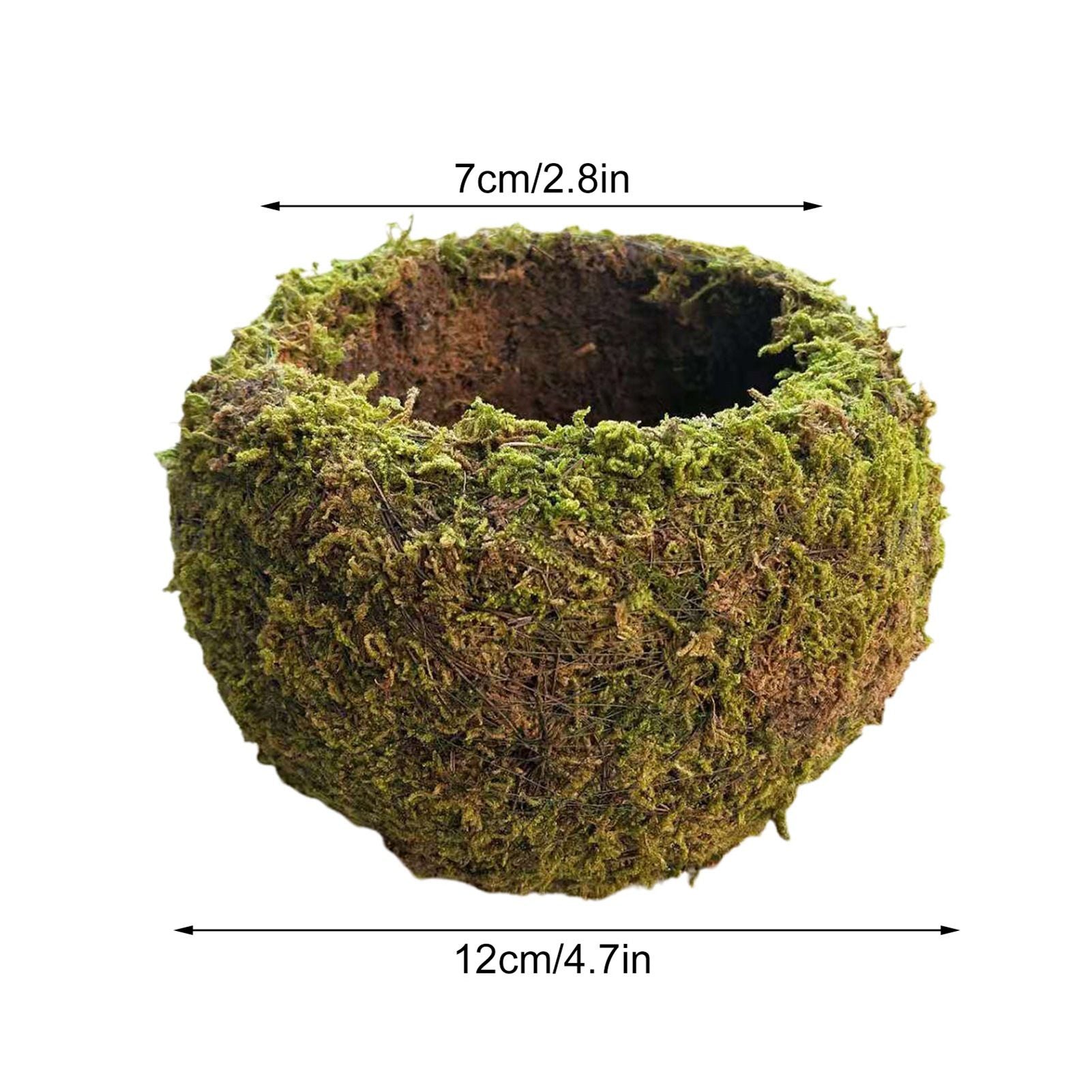 Japanese Style Moss Ball Gardening Potted Plant Moss Flower Pot V1294-YM0523-220316YA02-3
