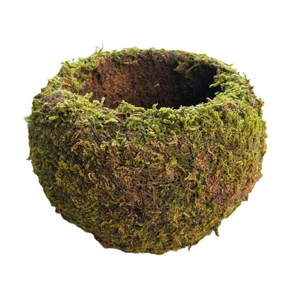 Japanese Style Moss Ball Gardening Potted Plant Moss Flower Pot V1294-YM0523-220316YA02-4