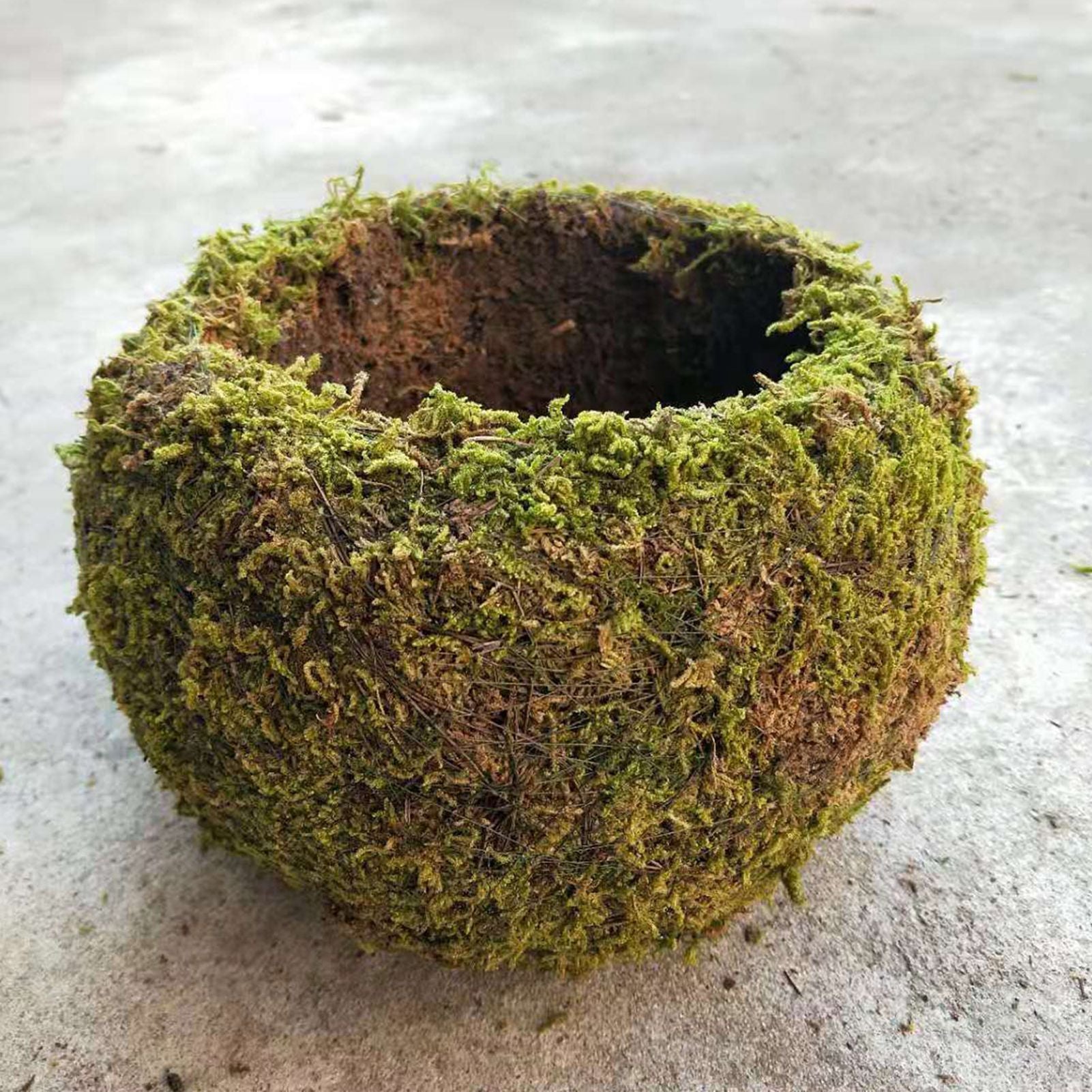 Japanese Style Moss Ball Gardening Potted Plant Moss Flower Pot V1294-YM0523-220316YA02-4