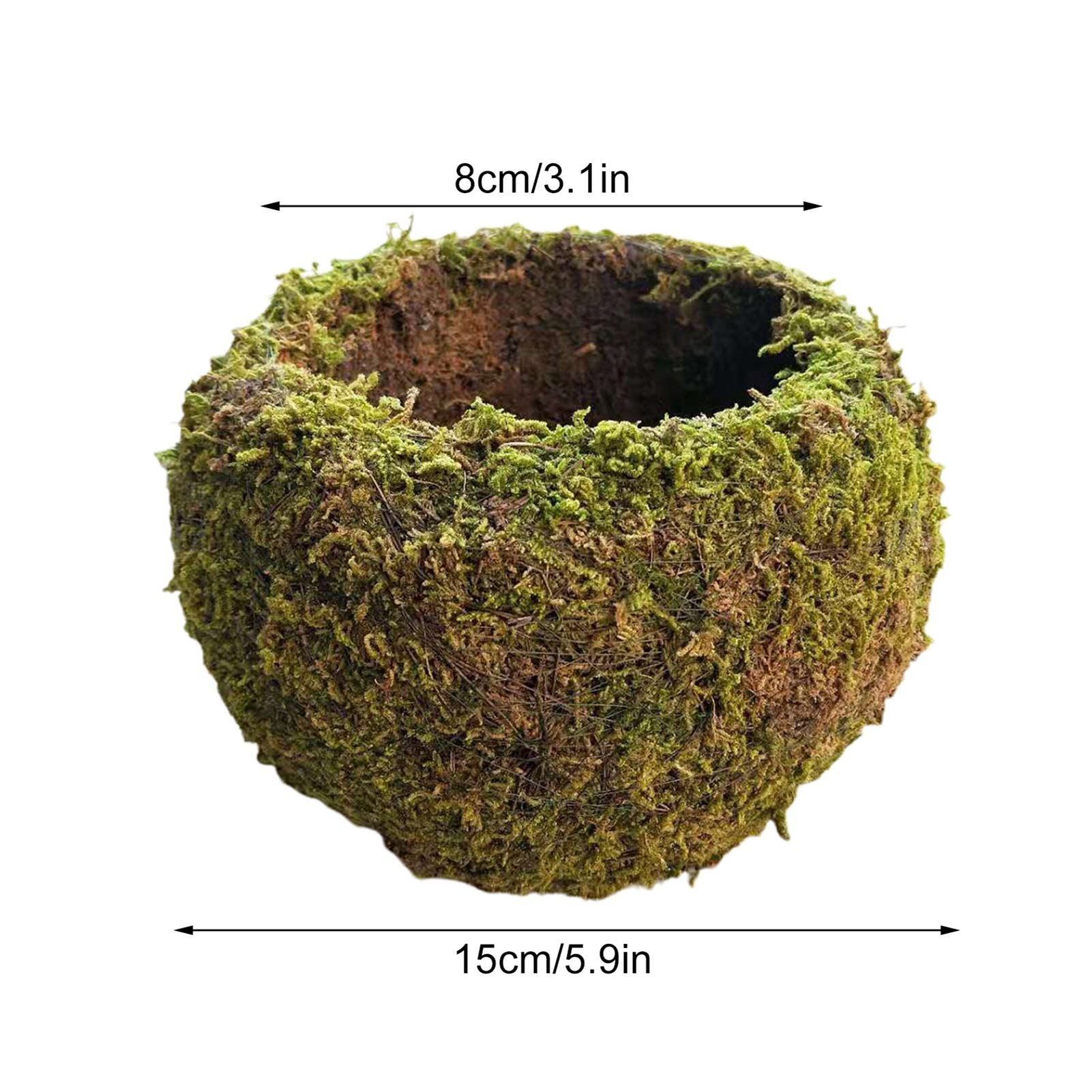 Japanese Style Moss Ball Gardening Potted Plant Moss Flower Pot V1294-YM0523-220316YA02-4