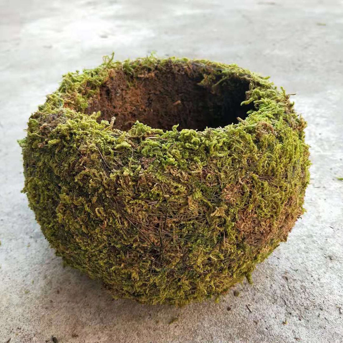 Japanese Style Moss Ball Gardening Potted Plant Moss Flower Pot V1294-YM0523-220316YA02-5