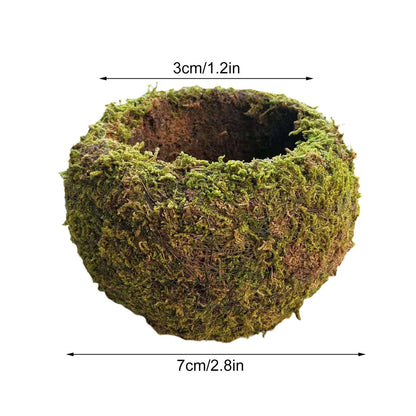 Japanese Style Moss Ball Gardening Potted Plant Moss Flower Pot V1294-YM0523-220316YA02-5