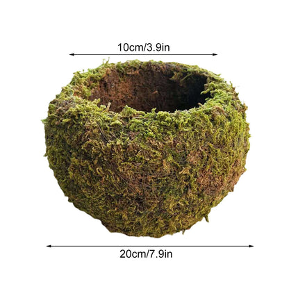 Japanese Style Moss Ball Gardening Potted Plant Moss Flower Pot V1294-YM0523-220316YA02-6
