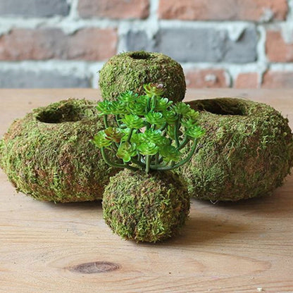 Japanese Style Moss Ball Gardening Potted Plant Moss Flower Pot V1294-YM0523-220316YA02-6