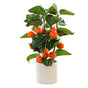 Small Fake Fruit Tree Decor Artificial Potted Tree with White Pot Potted Plant Perfect for Kitchen Home Indoor V1294-YM0523-220324CY13-1
