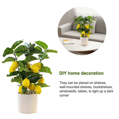 Small Fake Fruit Tree Decor Artificial Potted Tree with White Pot Potted Plant Perfect for Kitchen Home Indoor V1294-YM0523-220324CY13-1