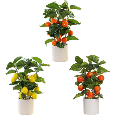 Small Fake Fruit Tree Decor Artificial Potted Tree with White Pot Potted Plant Perfect for Kitchen Home Indoor V1294-YM0523-220324CY13-1