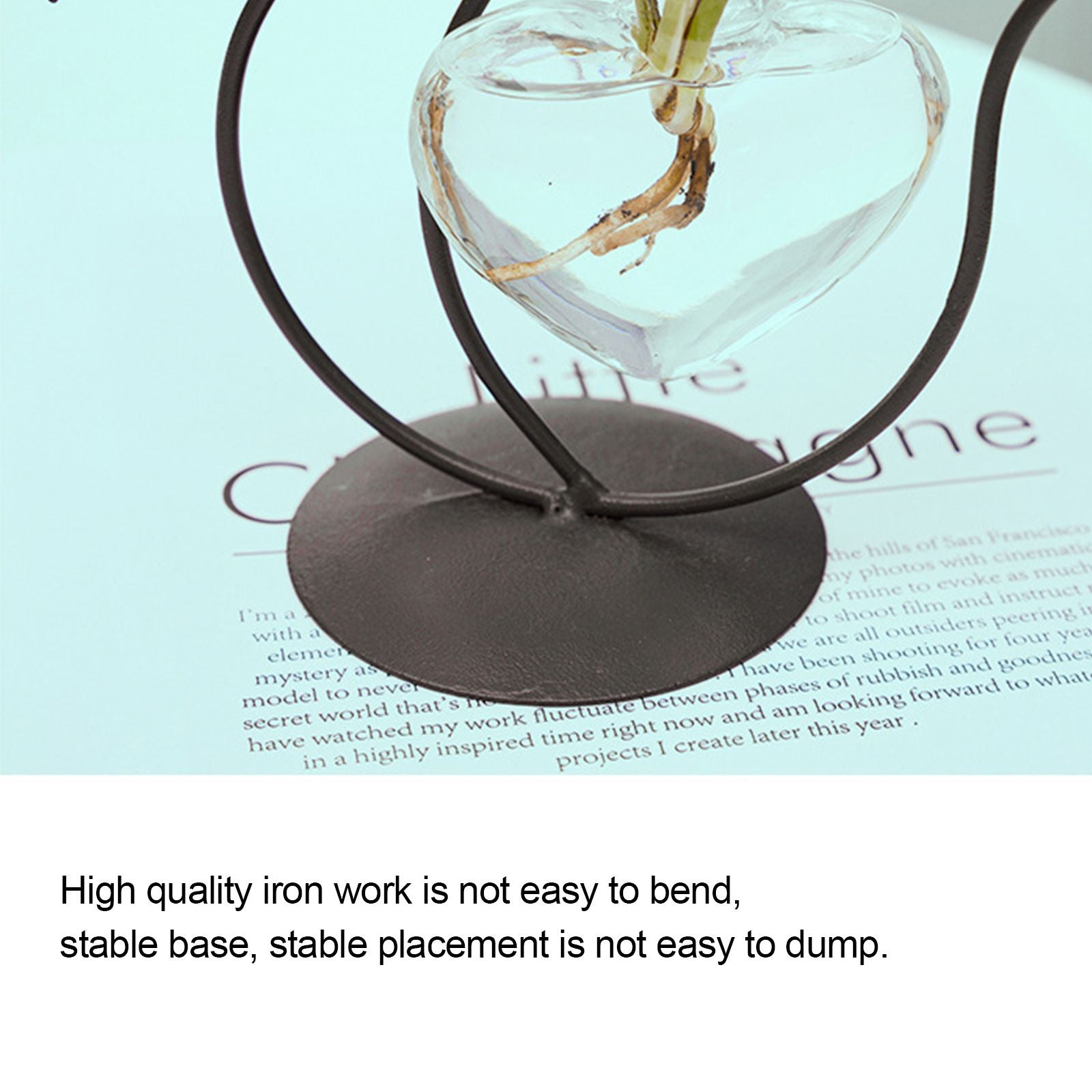 Simple Cat Iron Flower Ware Hydroponic Flower Arrangement Vase V1294-YM0523-220331WD01-1