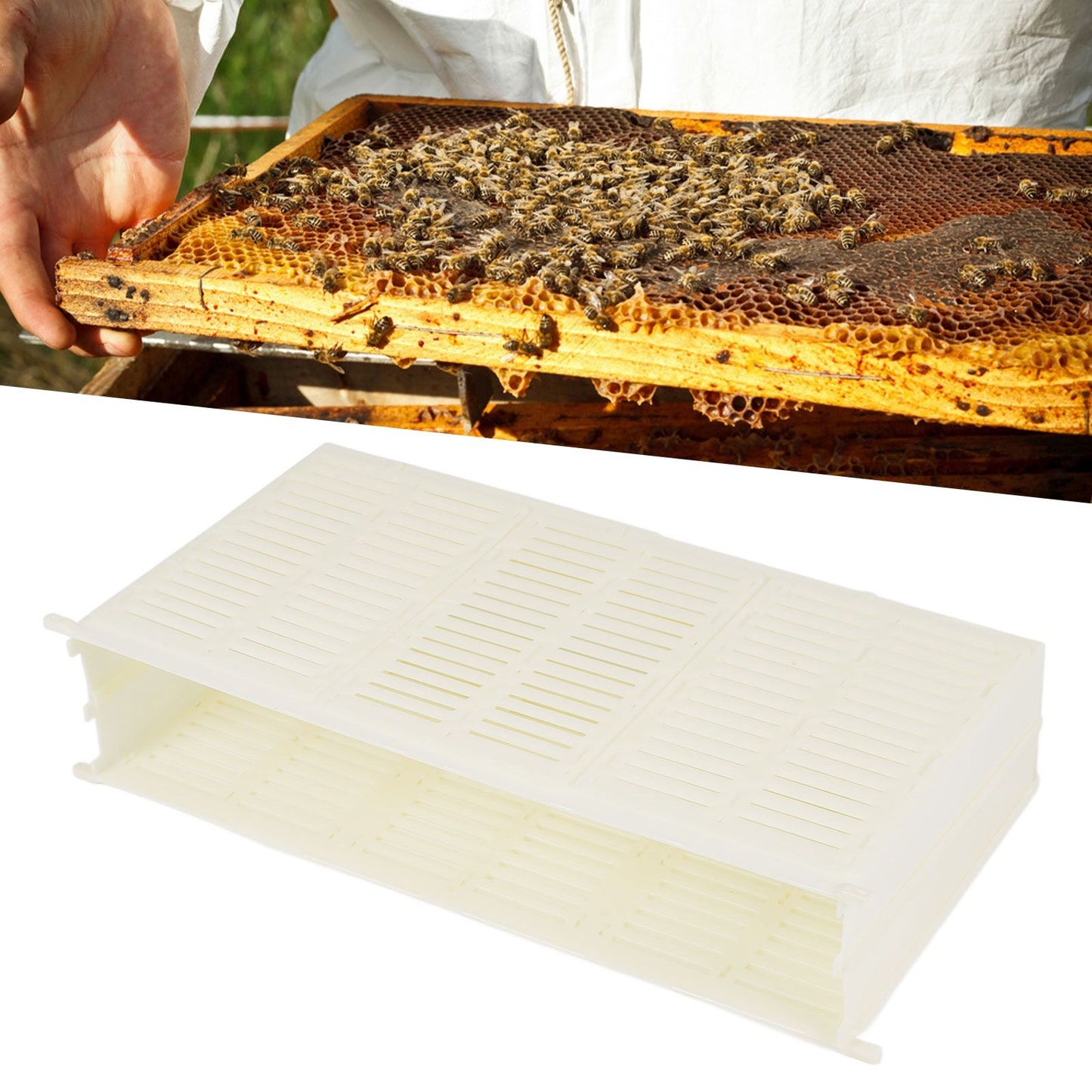 Queen Bee Spawning Controller Single Frame Plastic Bee Spawning Box Beekeeping Box V1294-YM0523-3111210373111