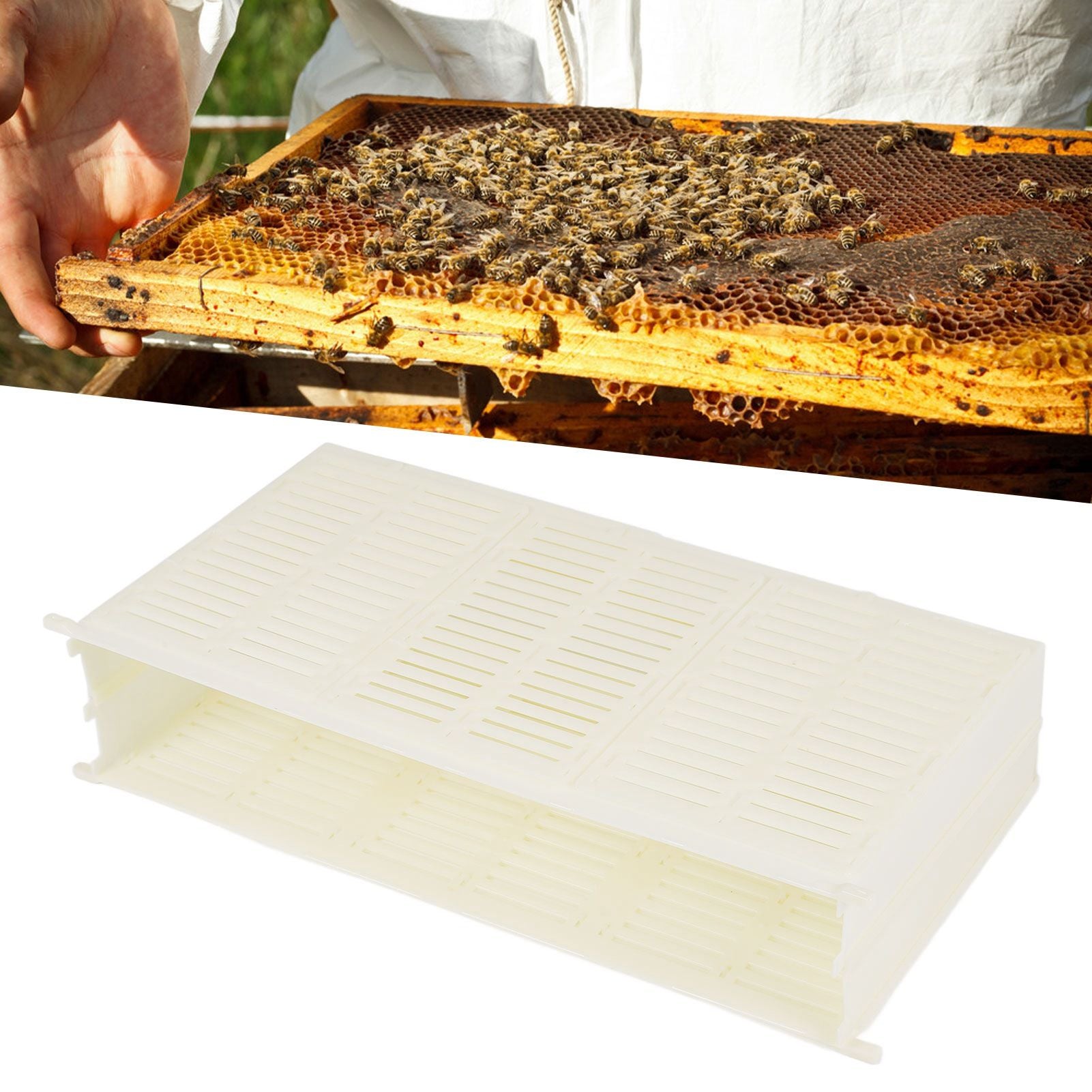 Queen Bee Spawning Controller Single Frame Plastic Bee Spawning Box Beekeeping Box V1294-YM0523-3111210373111