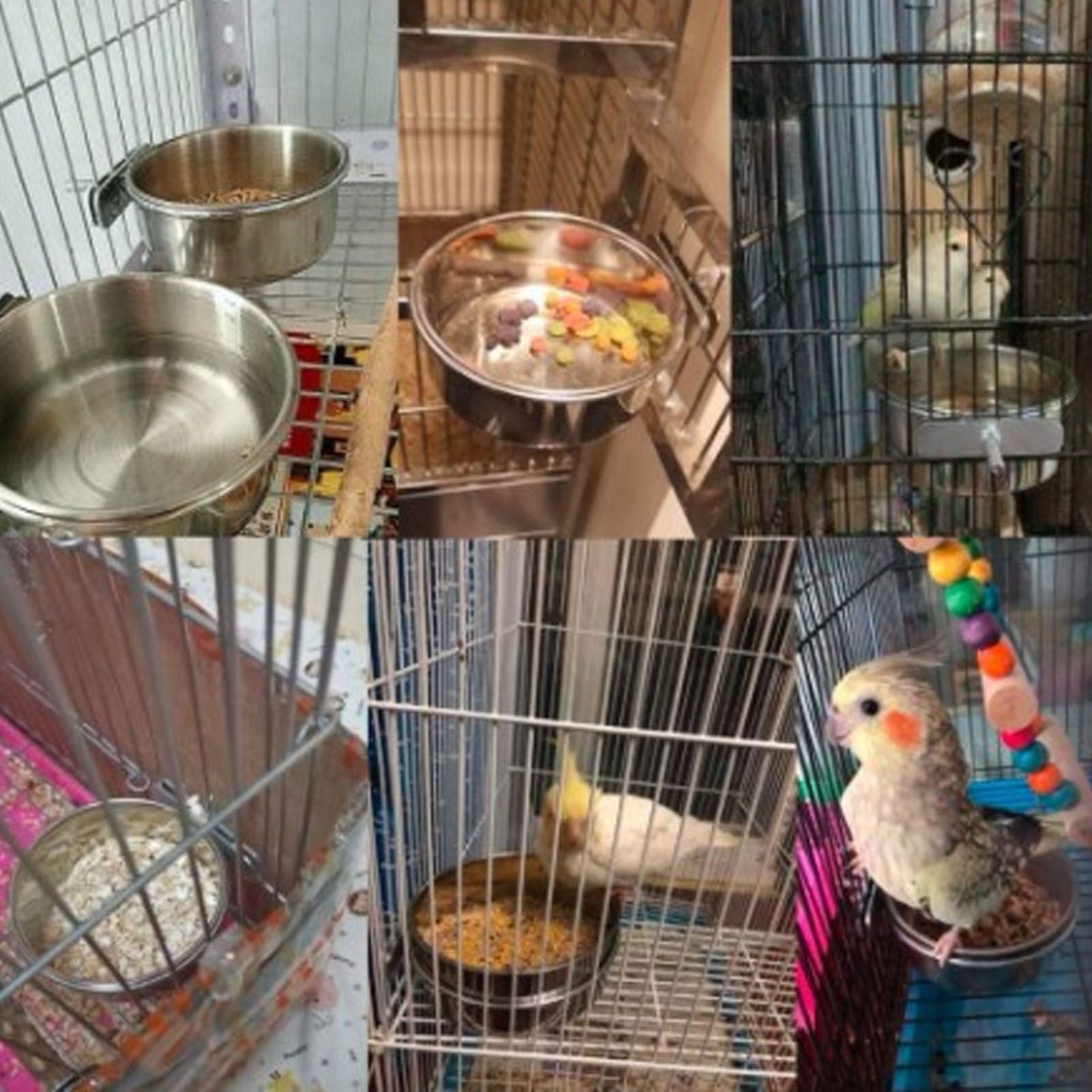 Stainless Steel Parrot Feeding Bowl with Rattan Ball for Hamster Small Animals V1294-YM0523-3111210374611