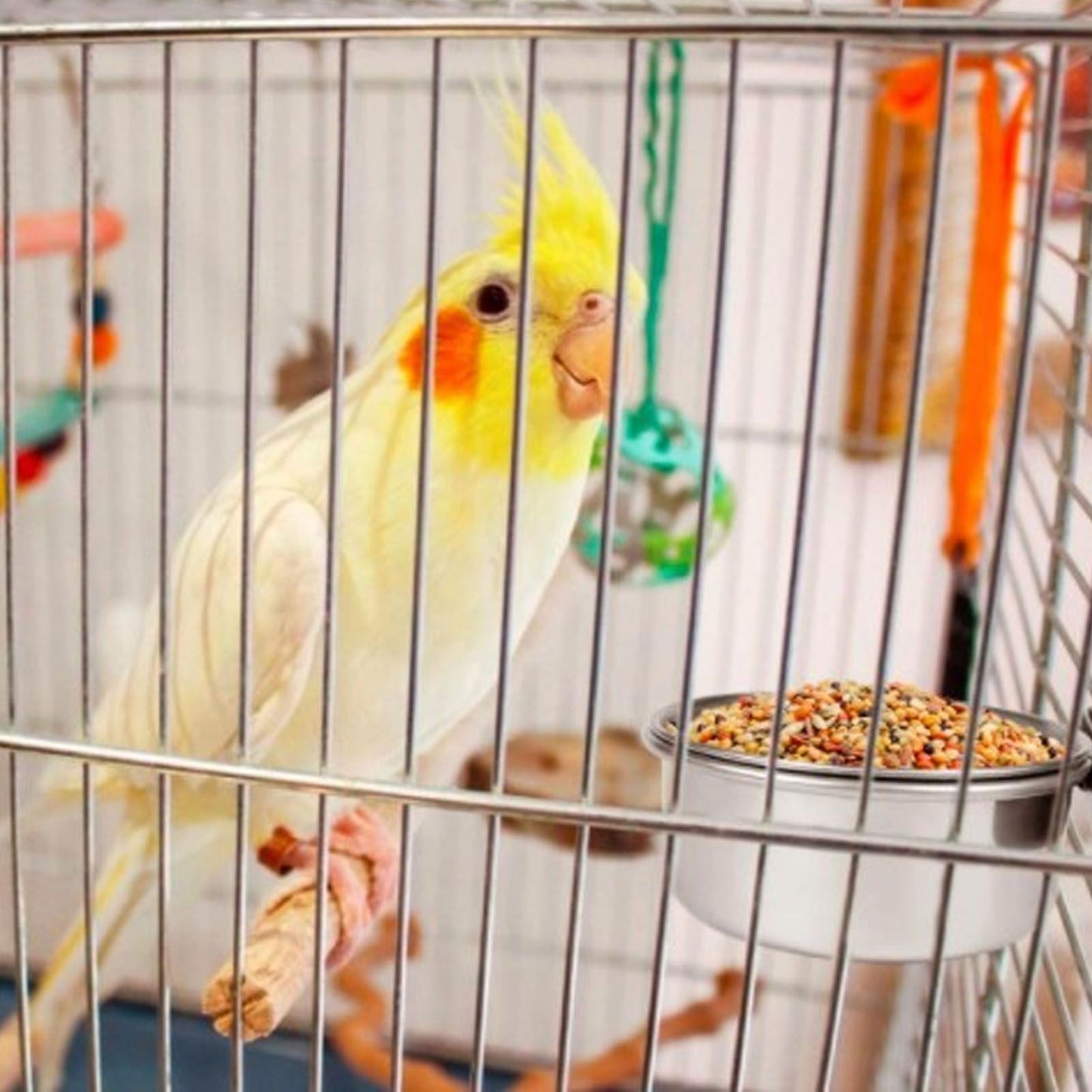 Stainless Steel Parrot Feeding Bowl with Rattan Ball for Hamster Small Animals V1294-YM0523-3111210374611