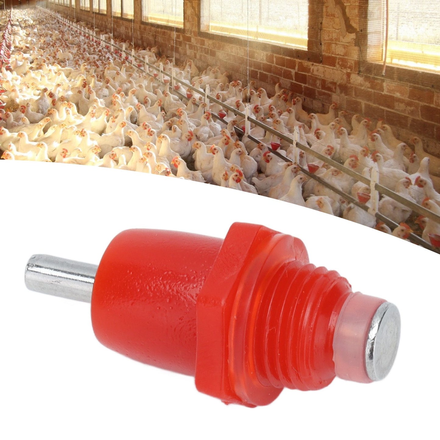 100Pcs Automatic Chicken Water Nipple 3 Way Spring Type Poultry Water Drink Waterer Feeder Farming Supplies V1294-YM0523-3111210380011