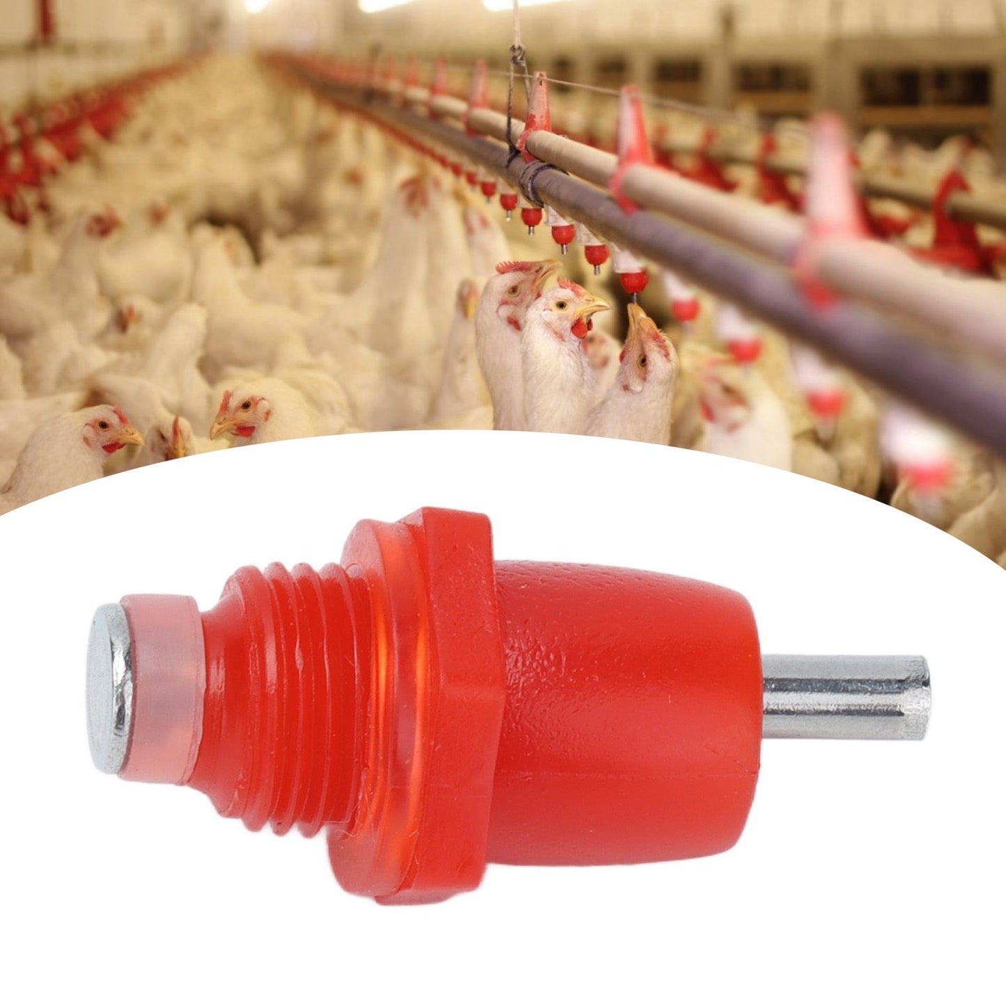 100Pcs Automatic Chicken Water Nipple 3 Way Spring Type Poultry Water Drink Waterer Feeder Farming Supplies V1294-YM0523-3111210380011