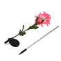 Solar Garden Decorations Automatic Charging Waterproof Durable LED Solar Decorative LightsRed V1294-YM0523-3111210392511