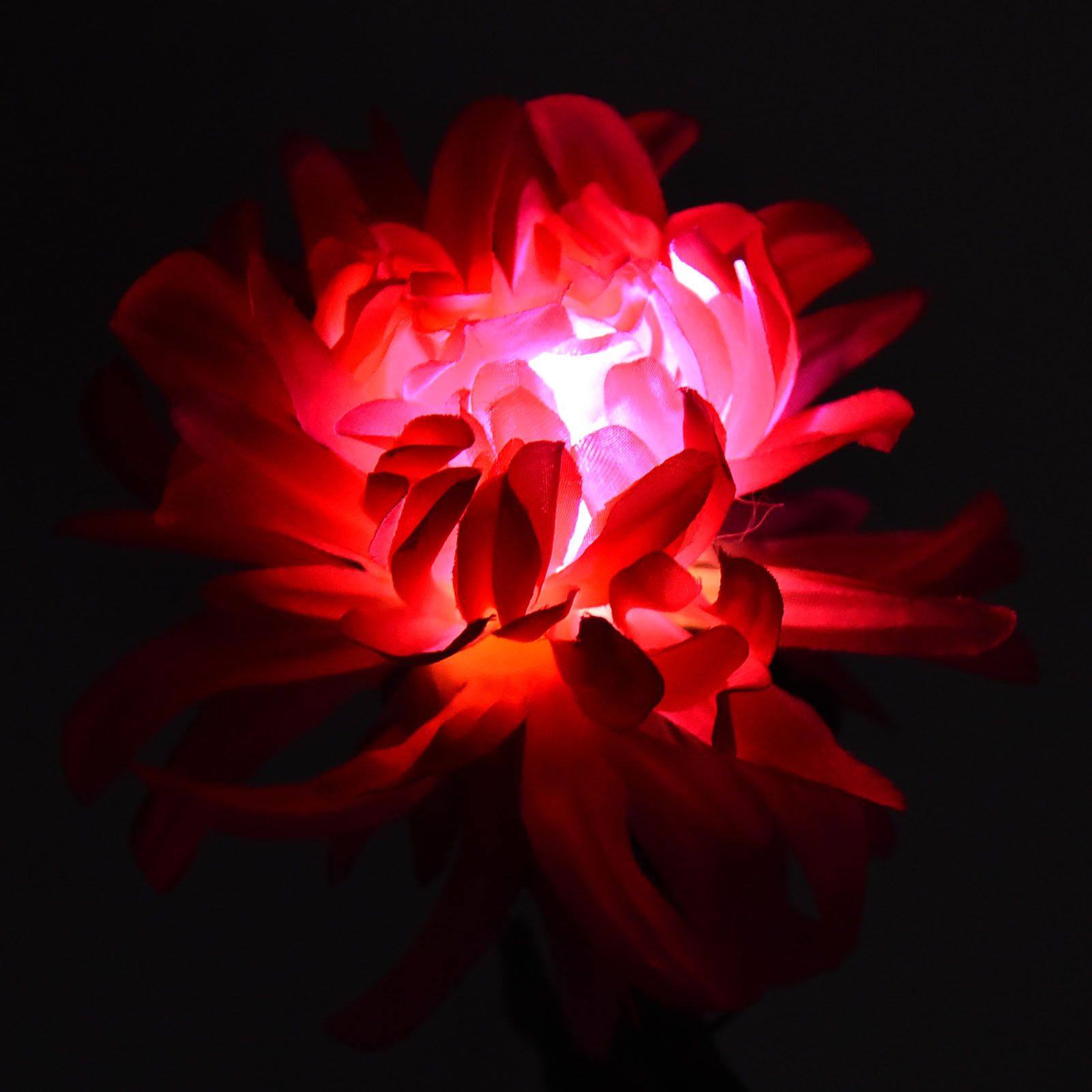 Solar Garden Decorations Automatic Charging Waterproof Durable LED Solar Decorative LightsRed V1294-YM0523-3111210392511