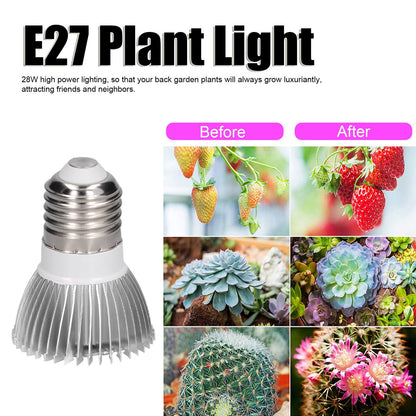 LED Grow Light Bulb Full Spectrum 28 LED E27 Socket Plant Light Bulb for Indoor Plants V1294-YM0523-3111210399811