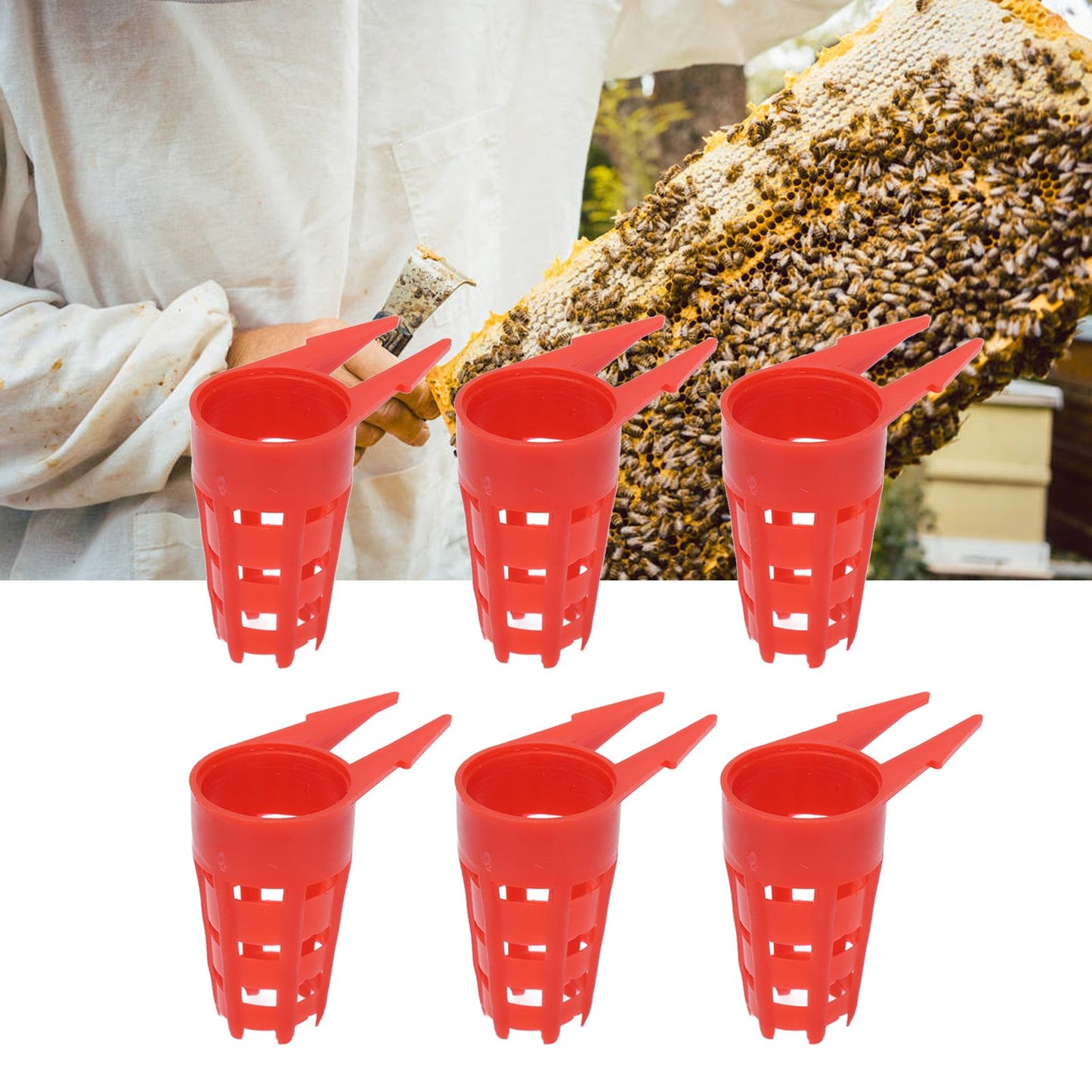 20pcs Queen Bee Cages Small Plastic Protective Safe Bee Cells Cover for Beekeeping Equipment V1294-YM0523-3111210407211