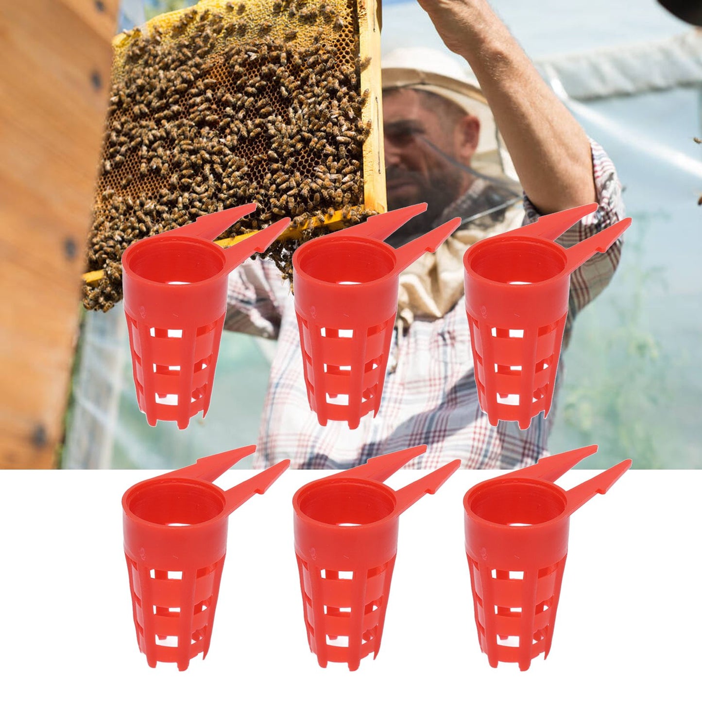20pcs Queen Bee Cages Small Plastic Protective Safe Bee Cells Cover for Beekeeping Equipment V1294-YM0523-3111210407211