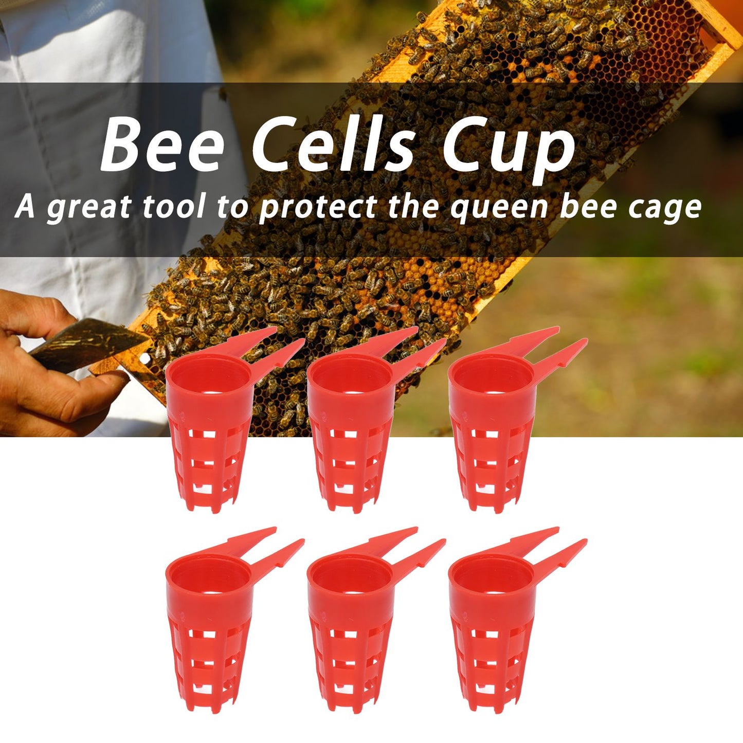 20pcs Queen Bee Cages Small Plastic Protective Safe Bee Cells Cover for Beekeeping Equipment V1294-YM0523-3111210407211