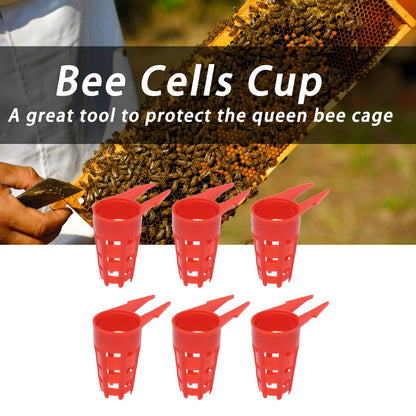 20pcs Queen Bee Cages Small Plastic Protective Safe Bee Cells Cover for Beekeeping Equipment V1294-YM0523-3111210407211