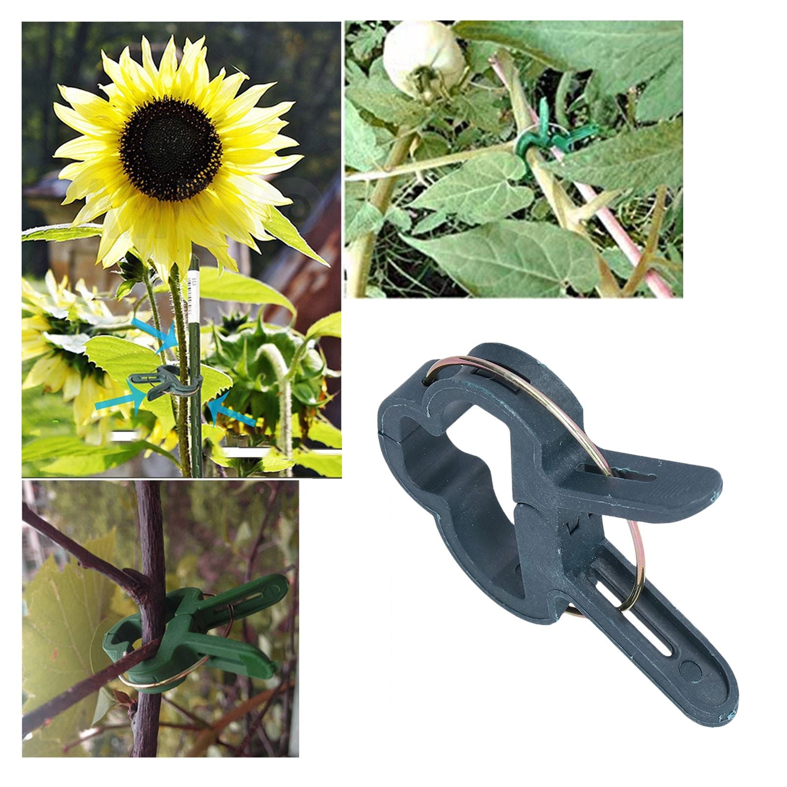 100PCS Plant Support Clip Plant Clamp Garden Binding Clip Grafting Tools for GreenhouseS V1294-YM0523-3111210410112