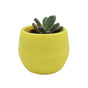 Succulent Pot Mini Seedling Flower Container Plastic Flower Pot for Garden Courtyard BalconyYellow V1294-YM0523-3111220000111