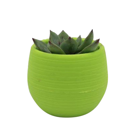 Succulent Pot Mini Seedling Flower Container Plastic Flower Pot for Garden Courtyard BalconyGreen V1294-YM0523-3111220000112