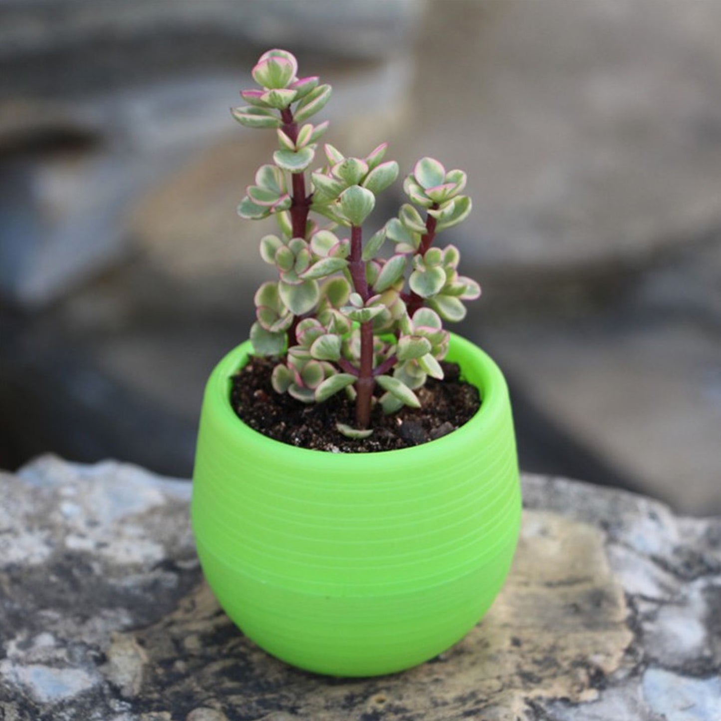 Succulent Pot Mini Seedling Flower Container Plastic Flower Pot for Garden Courtyard BalconyGreen V1294-YM0523-3111220000112