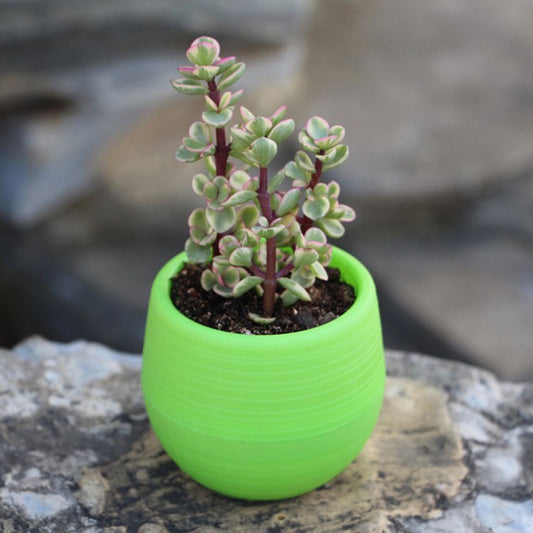 Succulent Pot Mini Seedling Flower Container Plastic Flower Pot for Garden Courtyard BalconyGreen V1294-YM0523-3111220000112