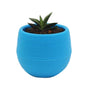 Succulent Pot Mini Seedling Flower Container Plastic Flower Pot for Garden Courtyard BalconyBlue V1294-YM0523-3111220000113