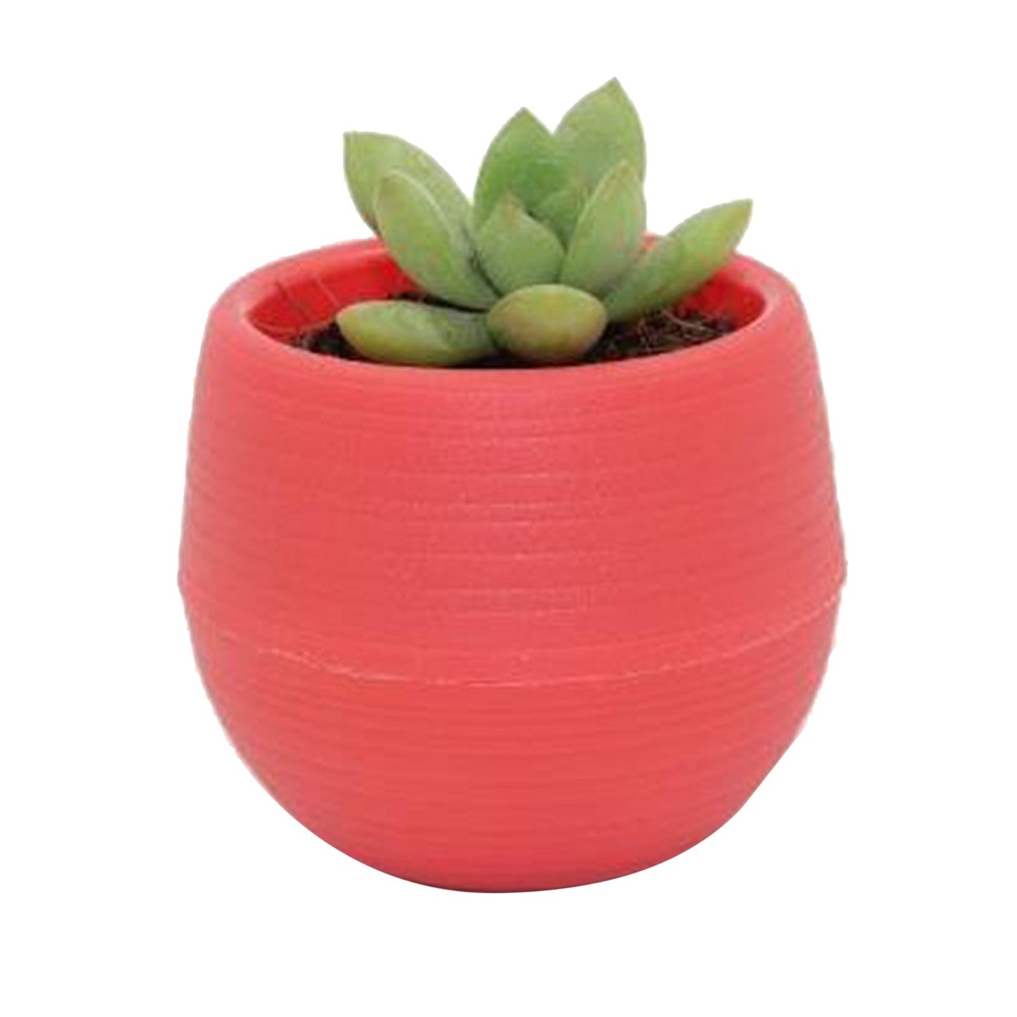 Succulent Pot Mini Seedling Flower Container Plastic Flower Pot for Garden Courtyard BalconyWine Red V1294-YM0523-3111220000114