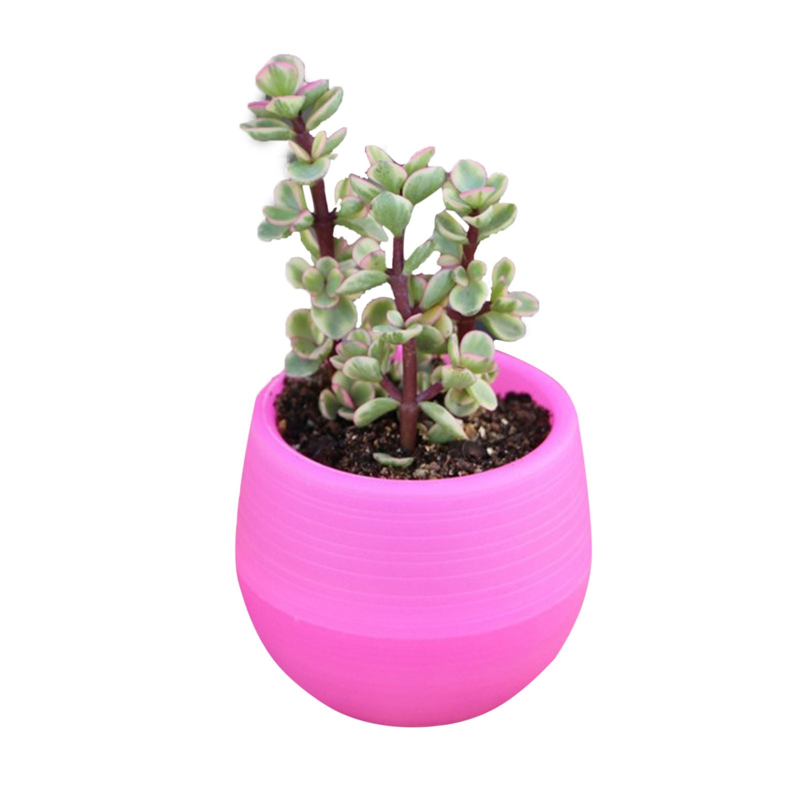 Succulent Pot Mini Seedling Flower Container Plastic Flower Pot for Garden Courtyard BalconyRose Red V1294-YM0523-3111220000115